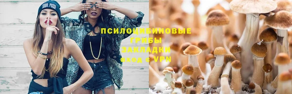 меф Гусь-Хрустальный