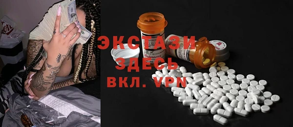 мдпв Гусев