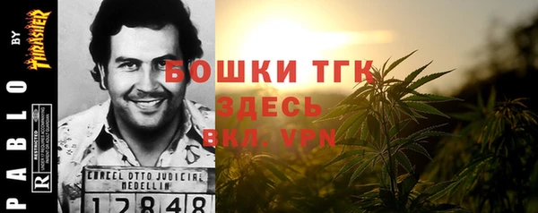 гидропоника Гусиноозёрск