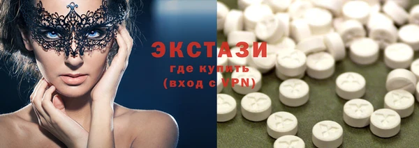 мдпв Гусев