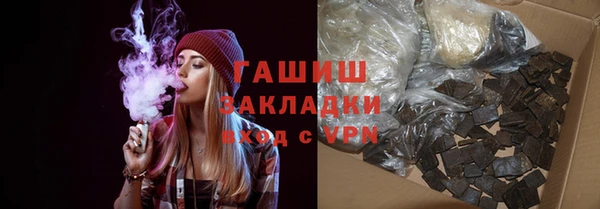 мдпв Гусев