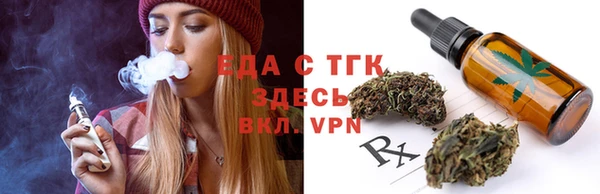 мдпв Гусев