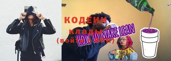 гидропоника Гусиноозёрск