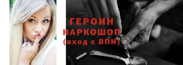 мдпв Гусев