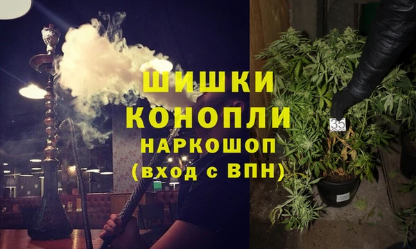 гидропоника Гусиноозёрск