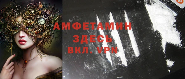мдпв Гусев