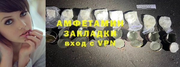 мдпв Гусев