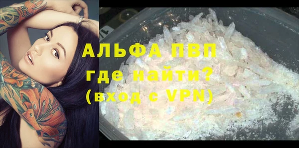 гидропоника Гусиноозёрск