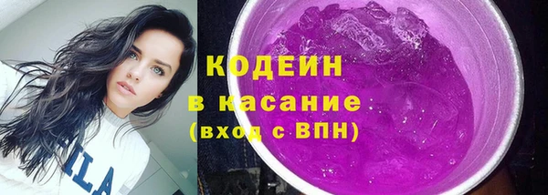 мдпв Гусев