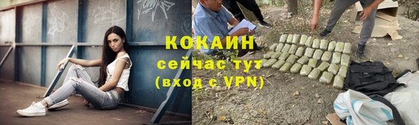 мдпв Гусев