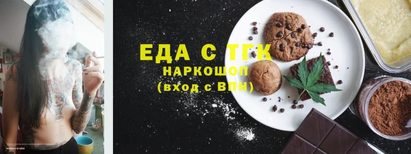 мдпв Гусев