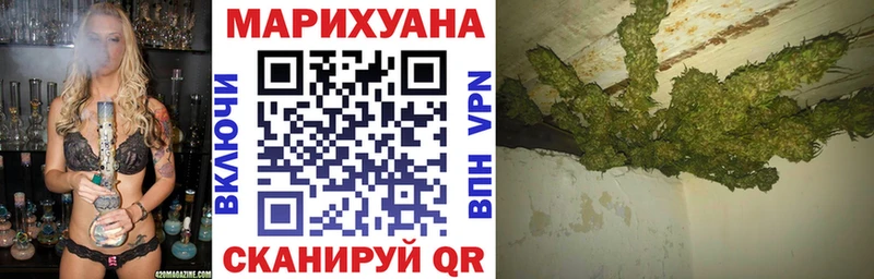 Купить  Туран  МАРИХУАНА сатива 